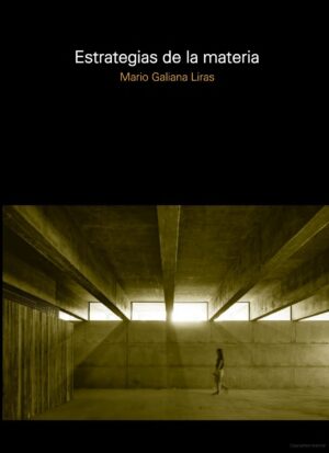 ESTRATEGIAS DE LA MATERIA