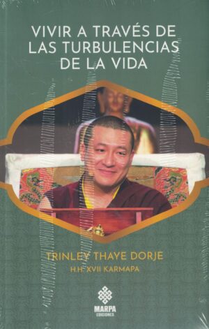 VIVIR A TRAVES DE LAS TURBULENCIAS DE LA VIDA