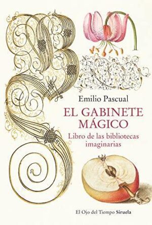 GABINETE MAGICO, EL