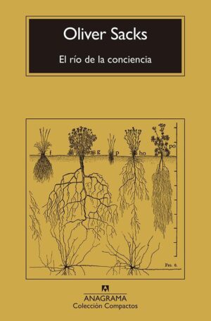 RIO DE LA CONCIENCIA, EL