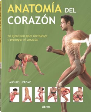 ANATOMIA DEL CORAZON