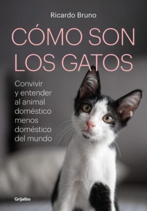 COMO SON LOS GATOS?