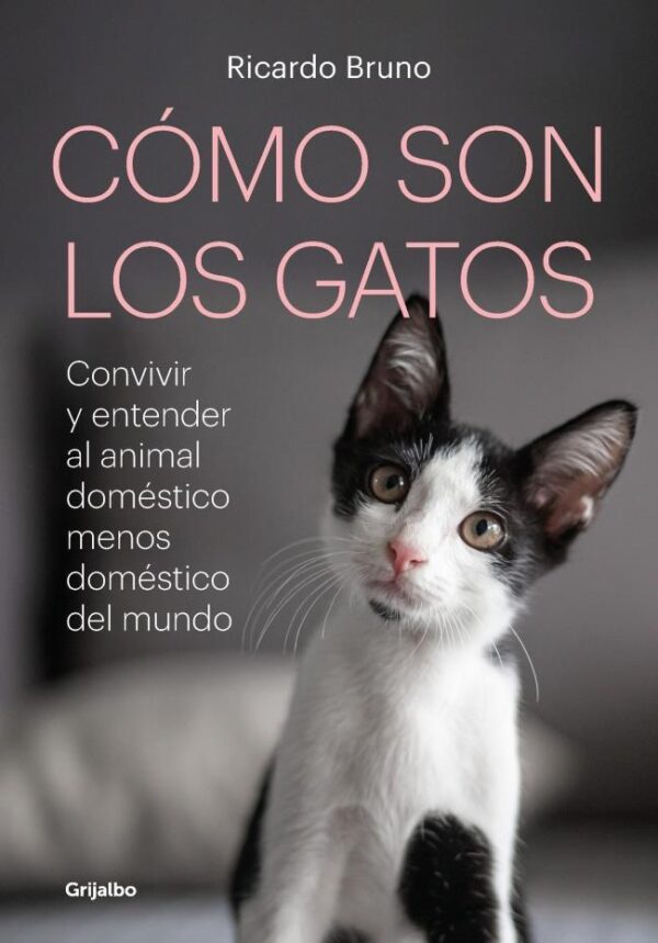 COMO SON LOS GATOS?