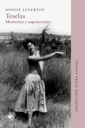 TESELAS, MEMORIAS Y SUPOSICIONES