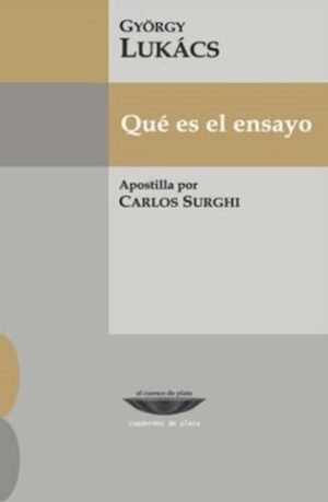 QUE ES EL ENSAYO