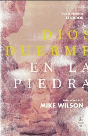 DIOS DUERME EN LA PIEDRA