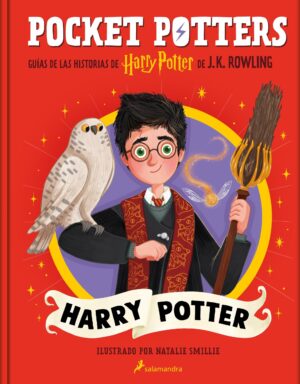 POCKET POTTERS, HARRY POTTER (TD)