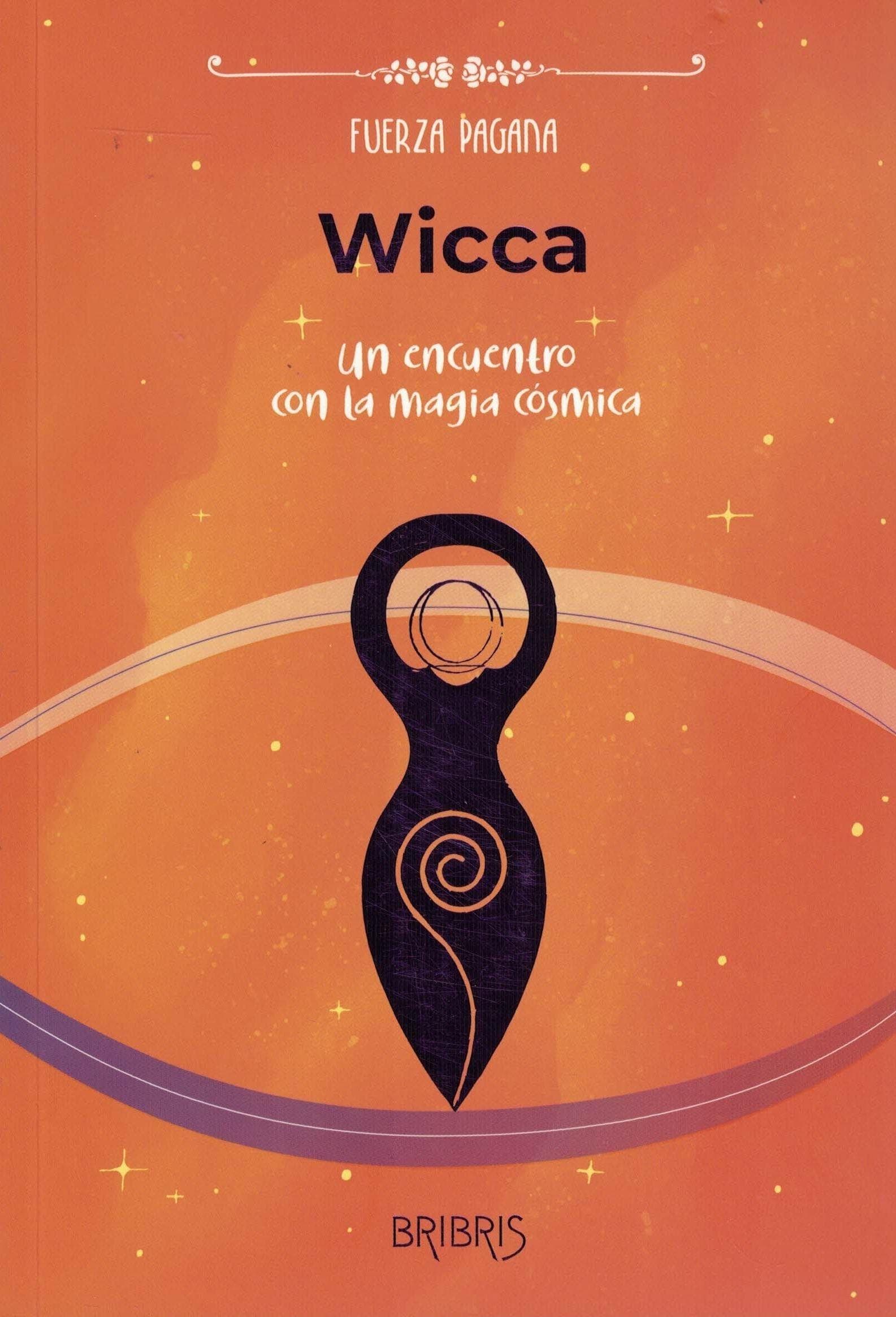 9786310096872WICCA