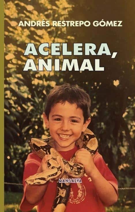 9786316647276ACELERA